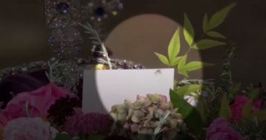 "عنكبوت" يسير على نعش الملكة إليزابيث الثانية.. فيديو