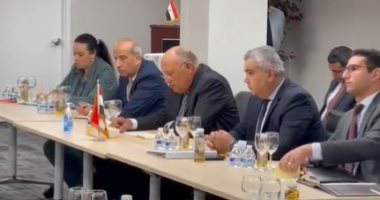 وزير الخارجية يبحث مع نظيره الهندي سبل تعزيز العلاقات الثنائية