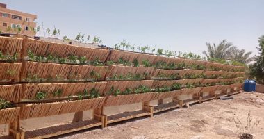 "الخارجة".. أول مدينة صديقة للبيئة والمناخ فى مصر.. تنجح فى تنفيذ مشروعات زراعة أسطح المدارس بمكونات بيئية من مخلفات النخيل.. محافظ الوادى الجديد: صاحب الفكرة يعمم التجربة على مستوى المحافظة.. صور