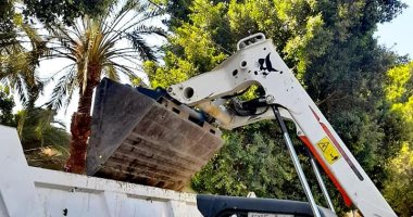 رفع 1160 طن قمامة و552 طن أتربة وتراكمات بحملات نظافة بالأقصر.. صور