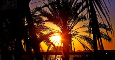 الشمس تغزل خيوطها على واحة سيوة.. لحظات الغروب فى جزيرة فطناس
