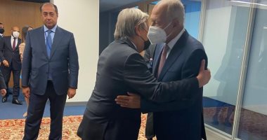 أبو الغيط يحذر أمين عام الأمم المتحدة من تجاهل القضية الفلسطينية