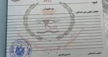 ضبط راكبين بمطار القاهرة بحوزتهما تقارير ممهورة بخاتم شعار الجمهورية وتأشيرات مزورة.. صور