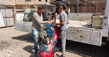 رفع 4700 حالة إشغال وتعد للمحال بالطالبية.. ورفع كفاءة الأرصفة بترسا