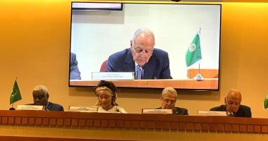 أبو الغيط يدعو الدول الافريقية لدعم حصول فلسطين على عضوية كاملة بالأمم المتحدة