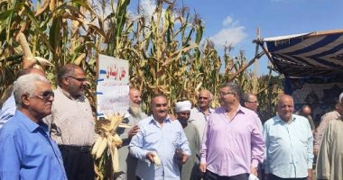 زراعة الشرقية تنظم يوم حصاد مكبر لمحصول الذرة الشامية والفدان ينتج 34 أردبا