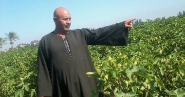 مجدى البسطويسى أحد أبناء كفر الغاب: "حياة كريمة" غيرت وجه الحياة فى قرى دمياط