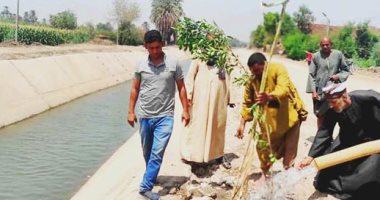 اتحضر للأخضر.. زراعة 80 ألف شجرة على الطرقات وجوانب الترع المبطنة بسوهاج.. وإنشاء 6 حدائق عامة على مساحة 8850 مترا وفتحها بالمجان للجمهور.. والمحافظ: نصيب المحافظة 3 ملايين شجرة ضمن "زراعة 100 مليون شجرة".. صور