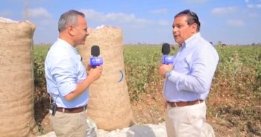 "نورت يا قطن النيل" جابر القرموطي يرصد موسم جني القطن في الفيوم بـ"مانشيت"