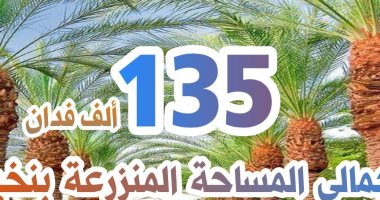 أرقام X الزراعة.. مصر الأولى عالميا فى إنتاج نخيل التمر..تمتلك 15.5 مليون نخلة