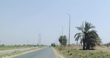 حياة كريمة فى أسوان.. تحسين وتطوير خدمات الكهرباء وإنارة طريق نصر النوبة