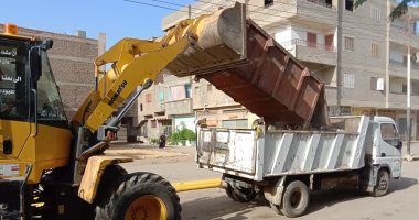 استمرار حملة تقليم الأشجار المتداخلة مع الكهرباء في بيلا بكفر الشيخ