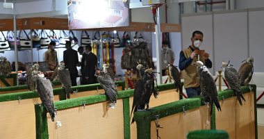 عروض مبهرة للوازم وأسلحة الصيد والرحلات فى معرض أبو ظبى للصيد والفروسية