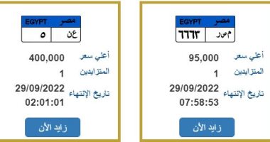 لوحات مميزة.. اختار رقم يناسب سيارتك الجديدة بالمزاد الإلكترونى.. صور