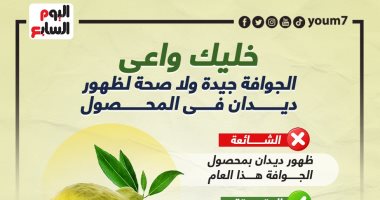 خليك واعى.. الجوافة جيدة ولا صحة لظهور ديدان فى المحصول.. إنفوجراف