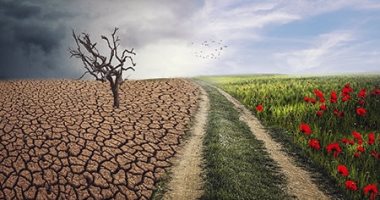 نوبل تسأل: هل تعرف كيف تؤثر البشرية على مناخ الأرض؟.. اعرف الإجابة من العلماء