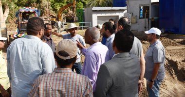 لجنة من وزارة التخطيط تزور قرية فارس بأسوان كنموذج للقرية الخضراء الذكية