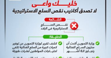 خليك واعى.. لا تصدق أكاذيب نقص السلع الاستراتيجية.. إنفوجراف