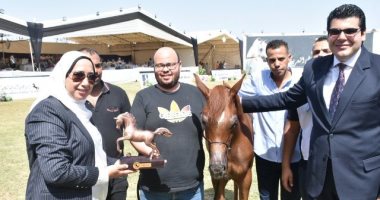 مجسمات لحصان جامح.. تعرف على جوائز الفائزين بمسابقة جمال الخيول بمهرجان الشرقية