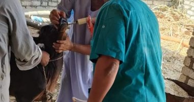 قافلة بيطرية شاملة لتنشيط التلقيح الاصطناعى فى أسوان
