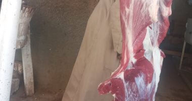 بيطرى الأقصر يحرر 11 محضرا ويضبط 28 كيلو لحوم بدون أختام.. صور