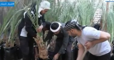 أستاذ بزراعة القاهرة لـ"إكسترا نيوز": الدولة لديها خطة لزراعة 40 ألف فدان نخيل