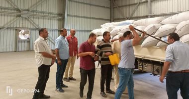 "التموين": استلام 8314 طن أرز بـ 21 موقعا في كفر الشيخ