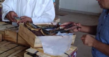 ضبط طن رنجة غير صالحة للاستهلاك فى حملة لمديرية الطب البيطري بالغربية 