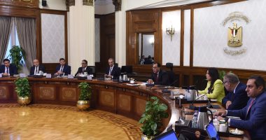 الحكومة تستعرض نشاطها الأسبوعى.. إنفوجراف