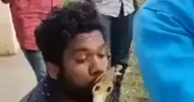 الحب القاتل.. أفعى تلدغ شاب هندى حاول تقبيلها واللهو معها "فيديو وصور"
