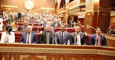 النائب عبد الخالق عياد رئيسا للجنة الطاقة والبيئة بمجلس الشيوخ  