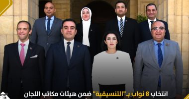 8 نواب بتنسيقية شباب الأحزاب ضمن هيئات مكاتب اللجان النوعية بمجلس الشيوخ