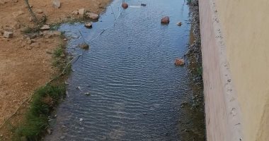 قارئ يشكو نقص الخدمات فى منطقة الزهراء بالمنيا الجديدة.. والجهاز يرد