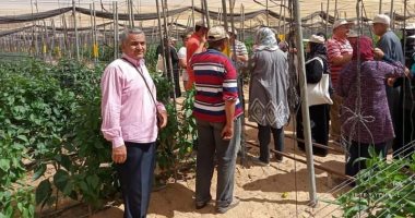 "زراعة الإسماعيلية" تطلق برنامجا لتدريب المرأة الريفية