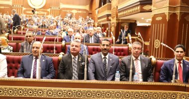  أبو هشيمة رئيسا للجنة الشباب بالشيوخ.. والجابرى ودياب وكيلين  