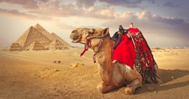 تزامنا مع Cop 27.. اليونسكو تحذر: المواقع الأثرية المفتوحة معرضة للخطر