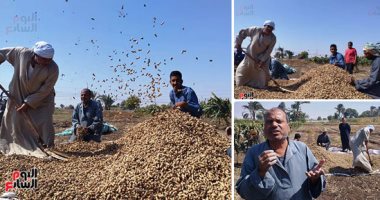 وزارة‫ الزراعة: مصر من أكبر مصدرى الفول السودانى للاتحاد الأوروبى