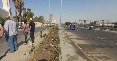 زراعة 700 شجرة بطريق ترعة الإسماعيلية بشبرا الخيمة ضمن مبادرة "اتحضر للأخضر"
