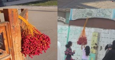 توزيع البلح مجانًا فى ميادين العريش احتفالا بحصاد محصول النخيل