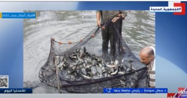 رئيس جامعة بنها: المزرعة السمكية في الجامعة تنتج من 150 لـ 200 طن سنوياً