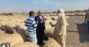 وكيل زراعة الفيوم يتابع مراكز تجميع محصول القطن وتوعية المزارعين بالتوريد