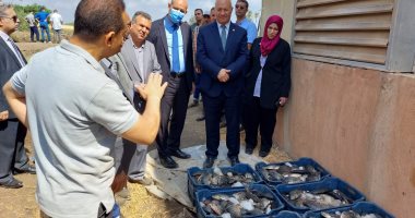 رئيس جامعة بنها يشهد بدء إنتاج سمك البلطى بالمزارع السمكية في كلية الزراعة.. صور