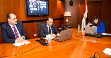 الهجرة: تشكيل هيئة خبراء لتنفيذ مقترح تأسيس شركة مساهمة للمصريين بالخارج