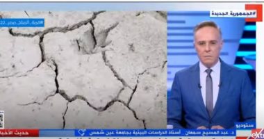أستاذ دراسات بيئية: أفريقيا قد تحتاج لـ25 مليار دولار لمواجهة أزمة الطاقة