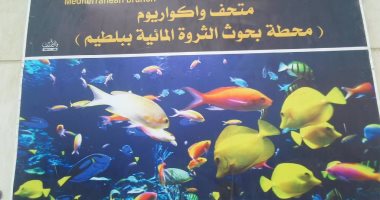 محطة بحوث الثروة المائية ببلطيم.. أنشئت للرصد البيئى وتنمية المصايد فى بحيرة البرلس.. وتضم كائنات حية ومحنطة وأصدافا وشعابا مرجانية وهيكلا عظميا لحوت.. وبداخل أكواريوم المحطة مجموعة فريدة من الأسماك.. صور
