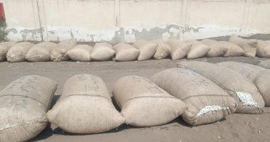 انطلاق ثانى مزاد لبيع الأقطان بسعر 4260 جنيها.. بإجمالى 12ألف قنطار وحضور 14 شركة.. مدير عام الزراعة: جنى 32 ألف فدان من إجمالى 56 ألفا حجم المساحات المنزرعة بالمحافظة.. والمزارعون: حلقات التسويق قضت على الوسيط