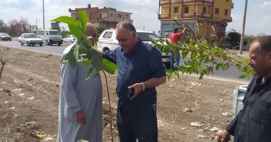 حملات نظافه وتمهيد الطرق وزراعة الأشجار بمدن ومراكز كفر الشيخ.. صور