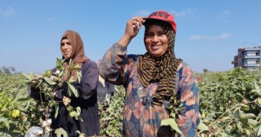 اليوم العالمى للمرأة الريفية.. وجوه مبتسمة من أجل لقمة العيش بغيطان الشرقية (صور)