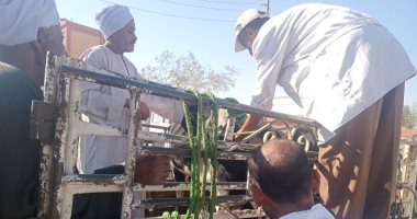 "بيطرى الأقصر" تقود حملات مكثفة لتحصين المواشى بالأسواق وتوعية أصحابها.. صور