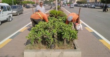"اتحضر للأخضر" تزين المحافظات.. "الشباب والرياضة" تدشن مبادرة مراكزنا خضراء فى 100 مركز شباب.. وتحويل بؤر تجميع القمامة لمسطحات خضراء فى القليوبية.. وزراعة 700 شجرة بطريق ترعة الإسماعيلية بشبرا الخيمة.. صور